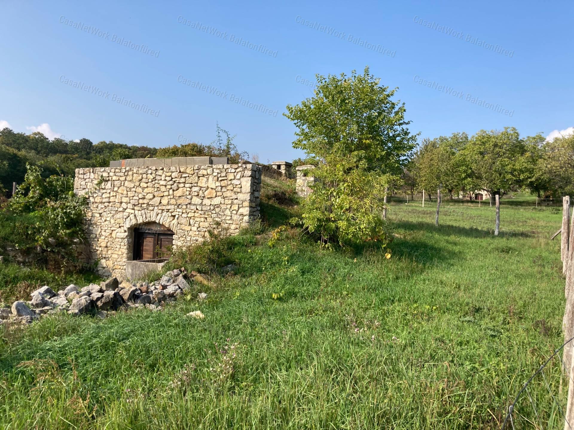 Kivételes lehetőség