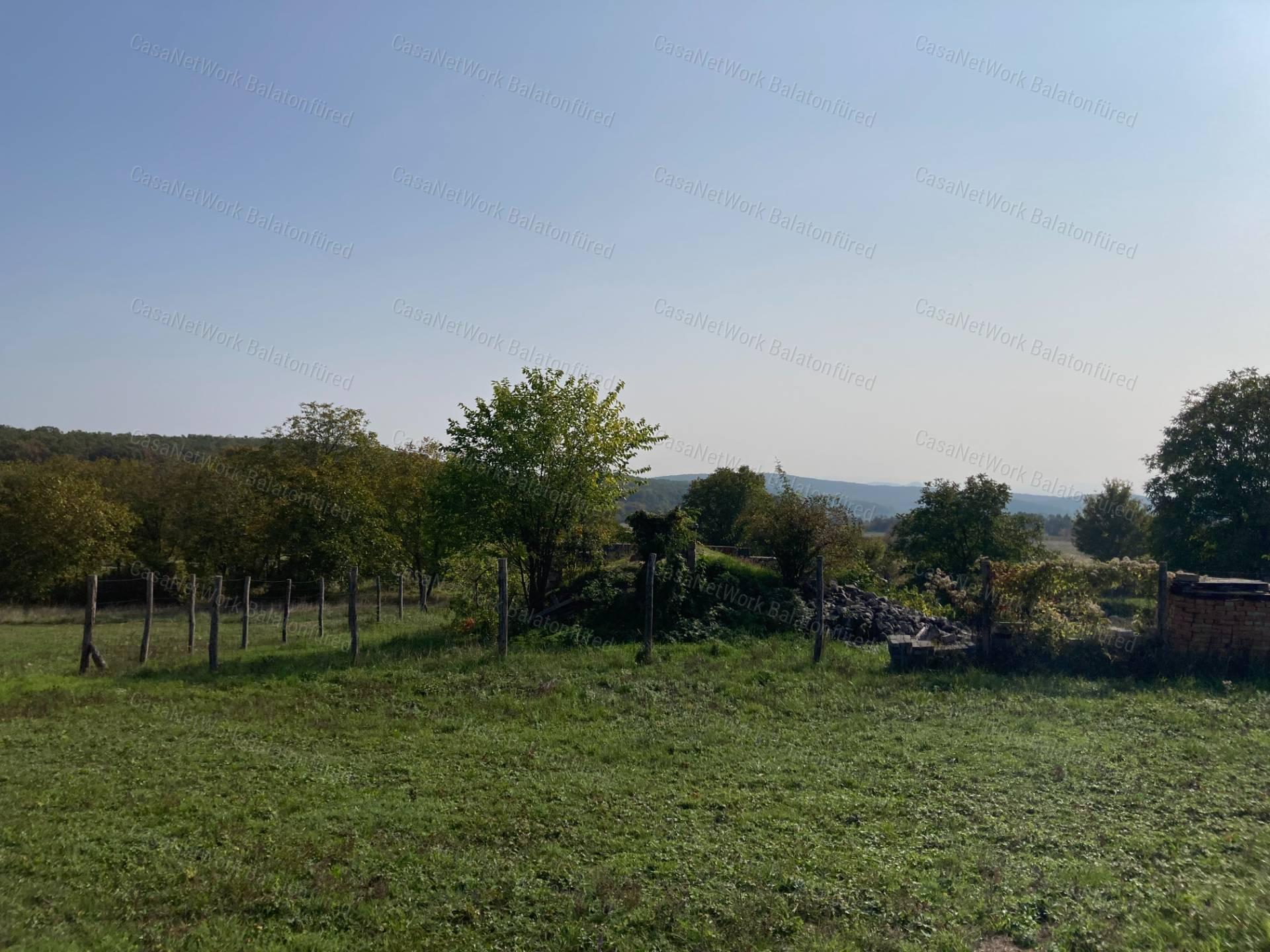 Kivételes lehetőség