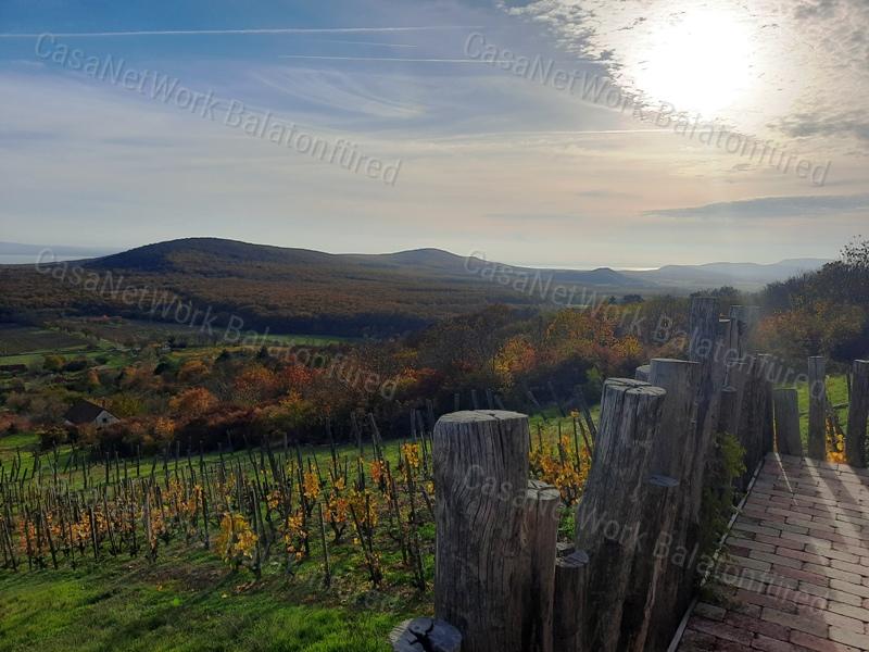 ÖRÖK SZUPERPANORÁMÁS- eladó GAZDASÁGI ÉPÜLET MONOSZLÓN