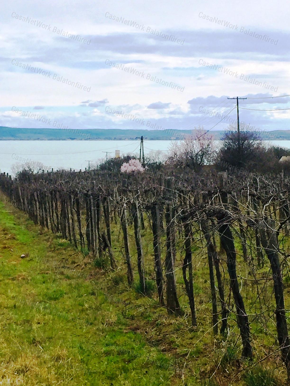 Örök Balaton Panorámája