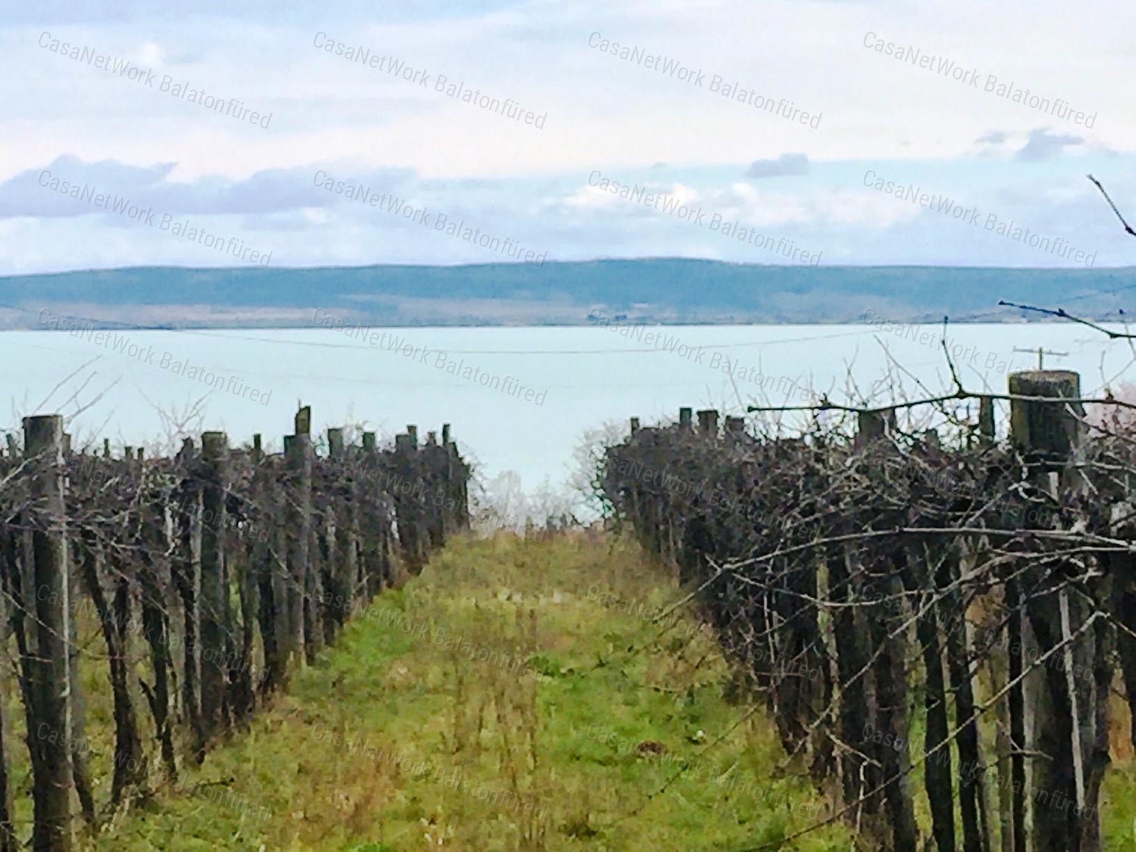 Örök Balaton Panorámája