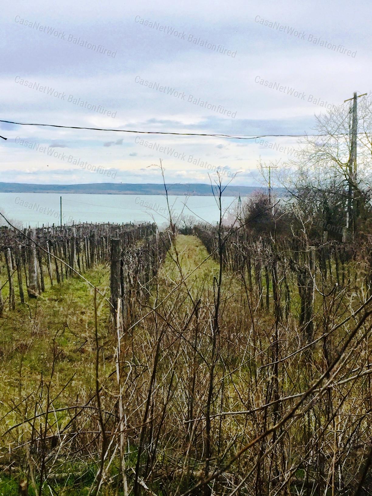 Örök Balaton Panorámája