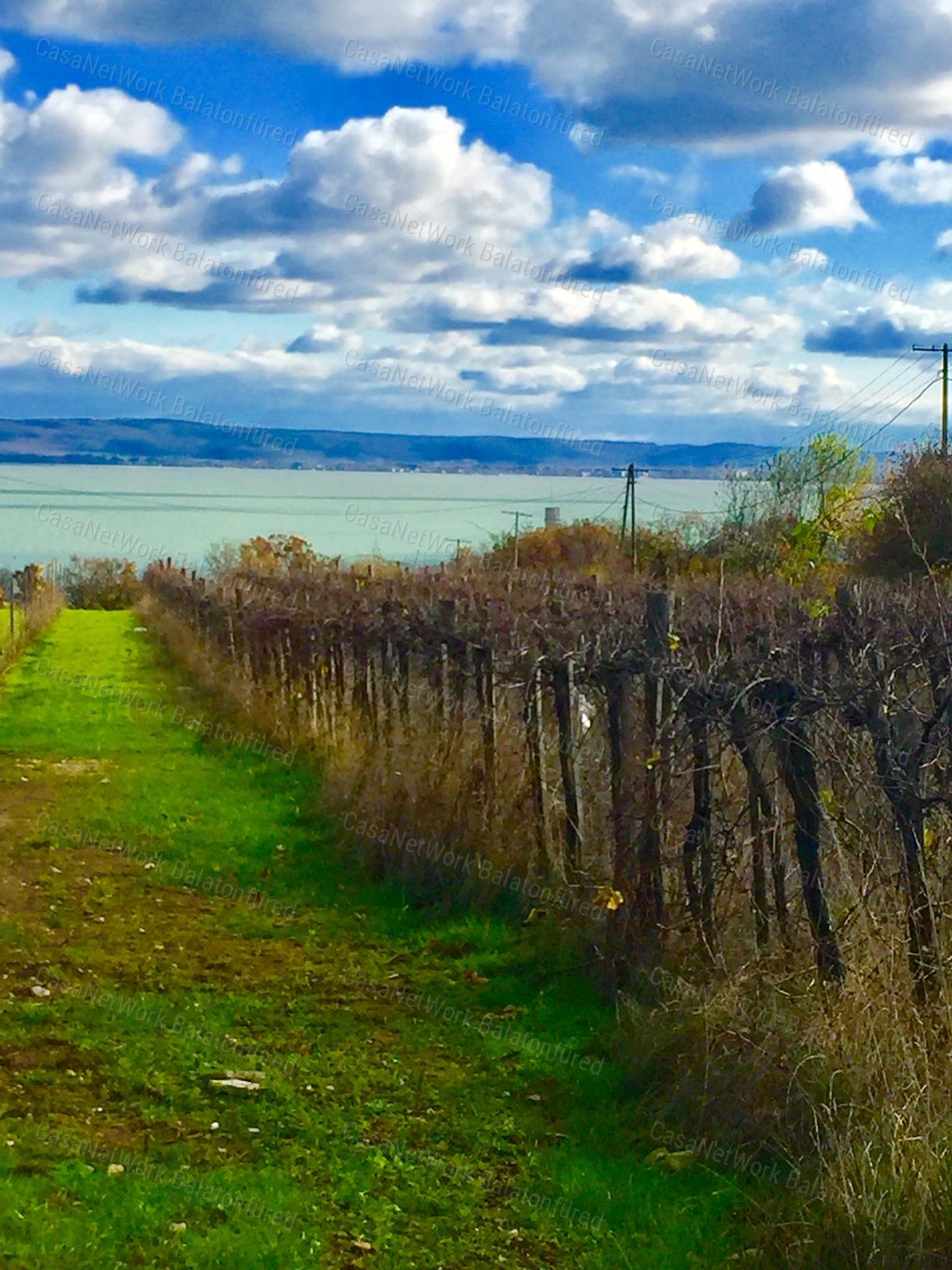 Örök Balaton Panorámája
