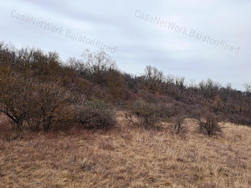 Közút melletti - eladó LEGELŐ BALATONALMÁDIBAN