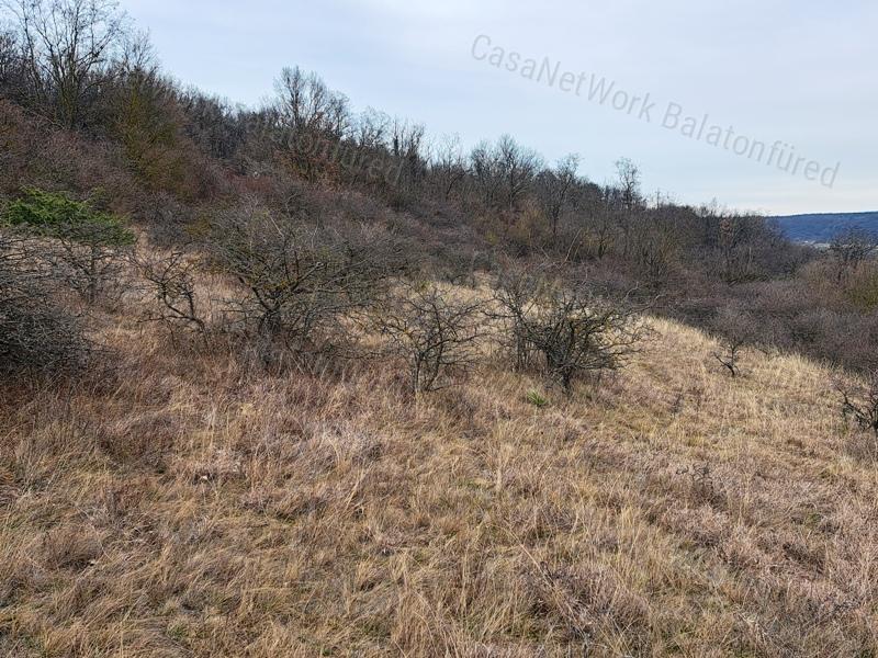 Közút melletti - eladó LEGELŐ BALATONALMÁDIBAN