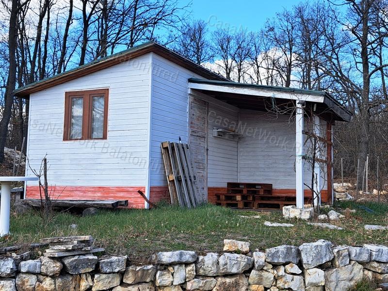 Panorámás, építhető, erdőben-eladó MEZŐGAZDASÁGI TERÜLET VÁSZOLYBAN