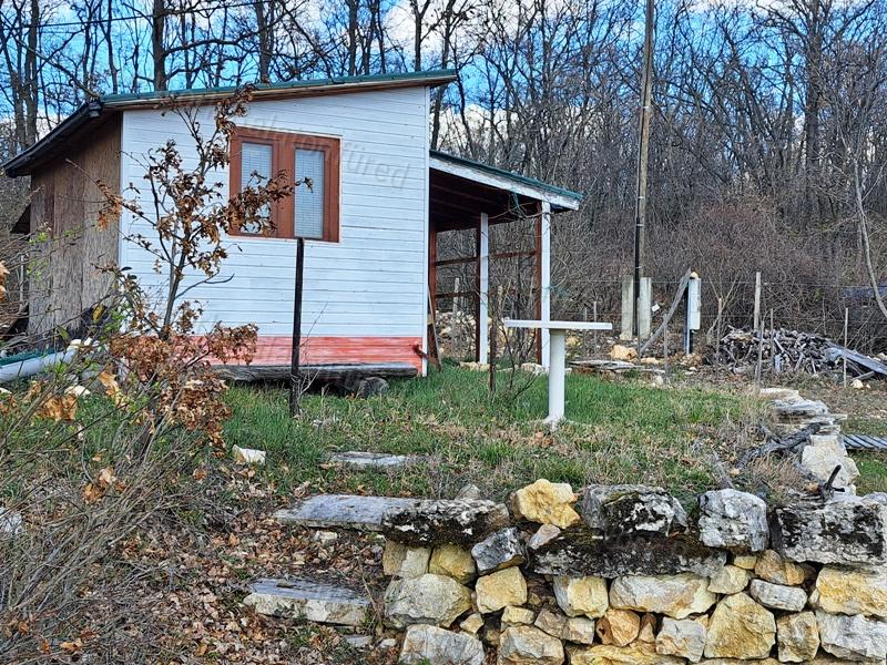 Panorámás, építhető, erdőben-eladó MEZŐGAZDASÁGI TERÜLET VÁSZOLYBAN