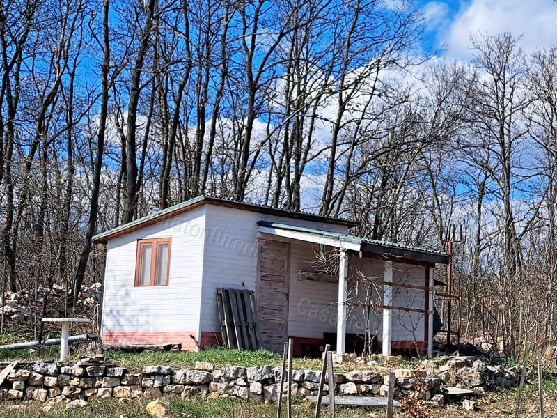 Panorámás, építhető, erdőben-eladó MEZŐGAZDASÁGI TERÜLET VÁSZOLYBAN