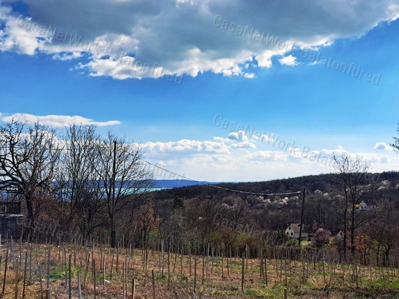 Panorámás, építhető, erdőben-eladó MEZŐGAZDASÁGI TERÜLET VÁSZOLYBAN