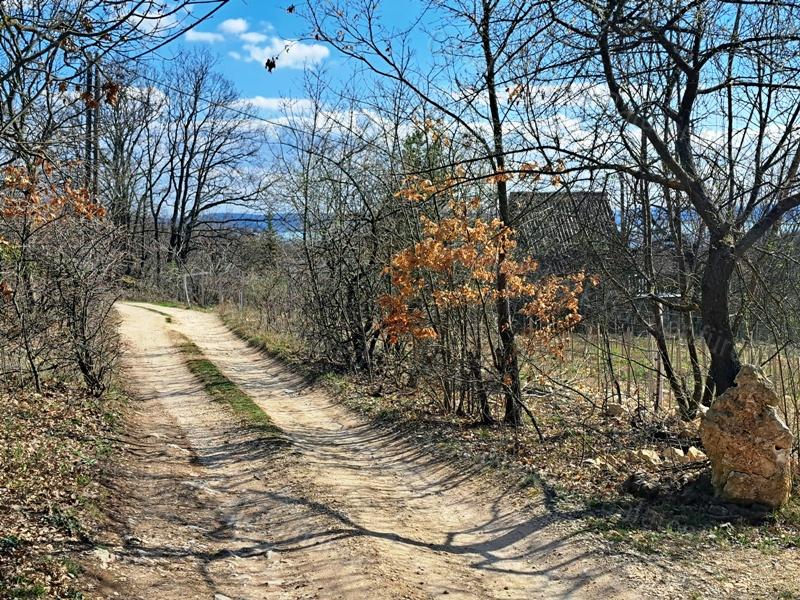 Panorámás, építhető, erdőben-eladó MEZŐGAZDASÁGI TERÜLET VÁSZOLYBAN