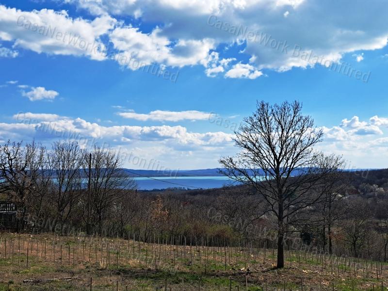 Panorámás, építhető, erdőben-eladó MEZŐGAZDASÁGI TERÜLET VÁSZOLYBAN