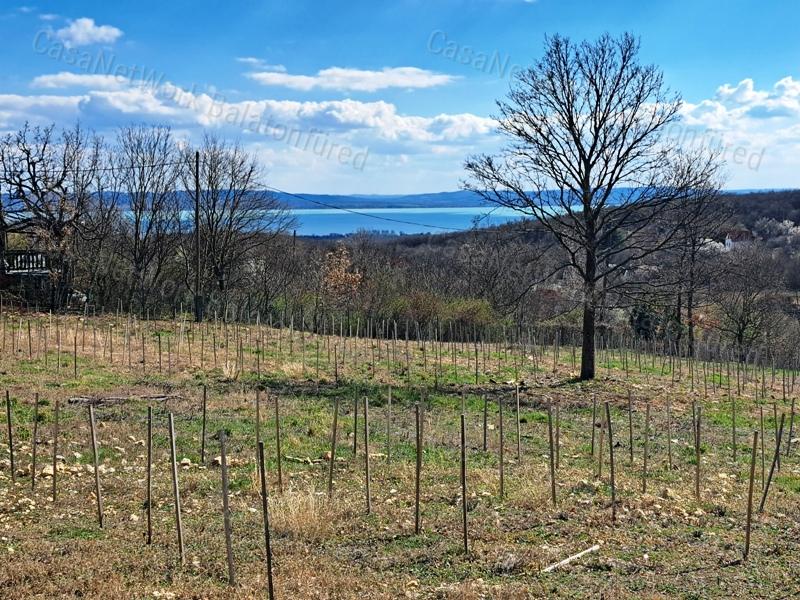 Panorámás, építhető, erdőben-eladó MEZŐGAZDASÁGI TERÜLET VÁSZOLYBAN