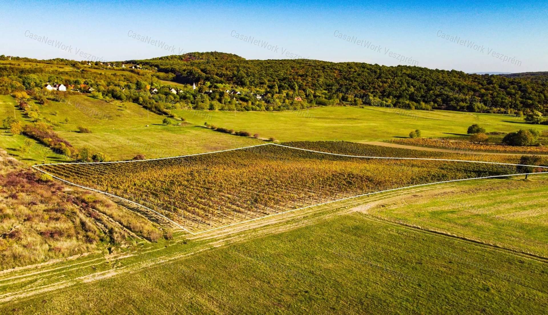 Eladó örök panorámás terület Óbudaváron! 2,3ha!