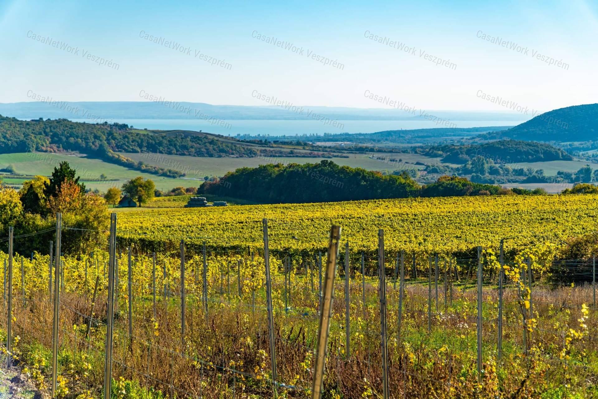 Eladó örök panorámás terület Óbudaváron! 2,3ha!