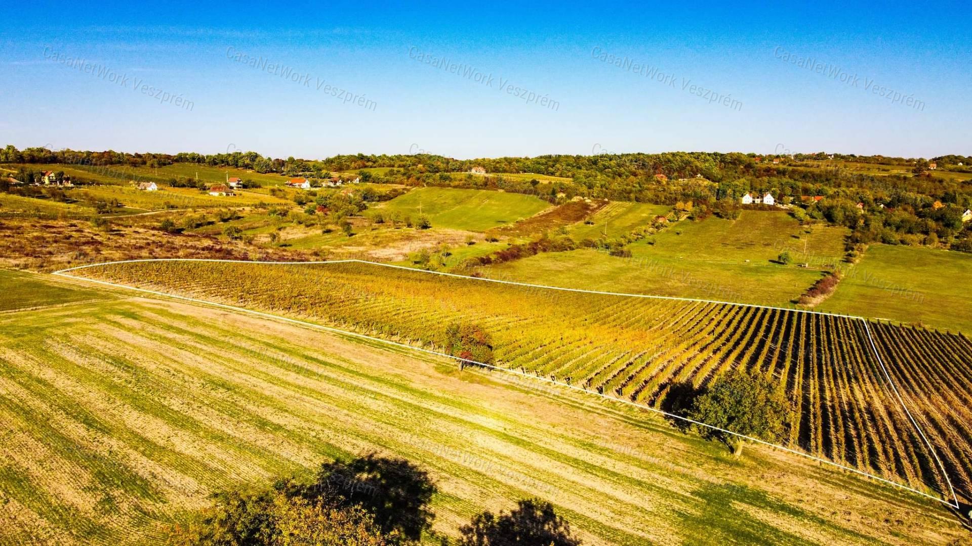 Eladó örök panorámás terület Óbudaváron! 2,3ha!