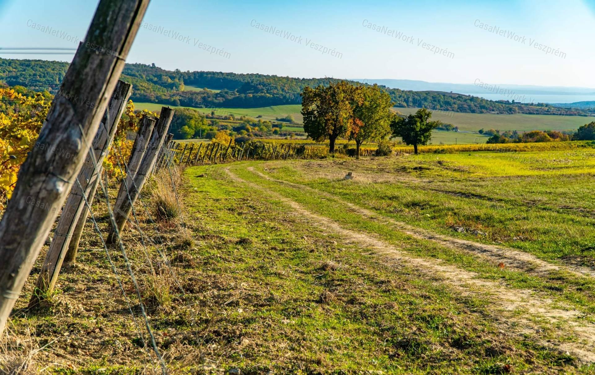 Eladó örök panorámás terület Óbudaváron! 2,3ha!