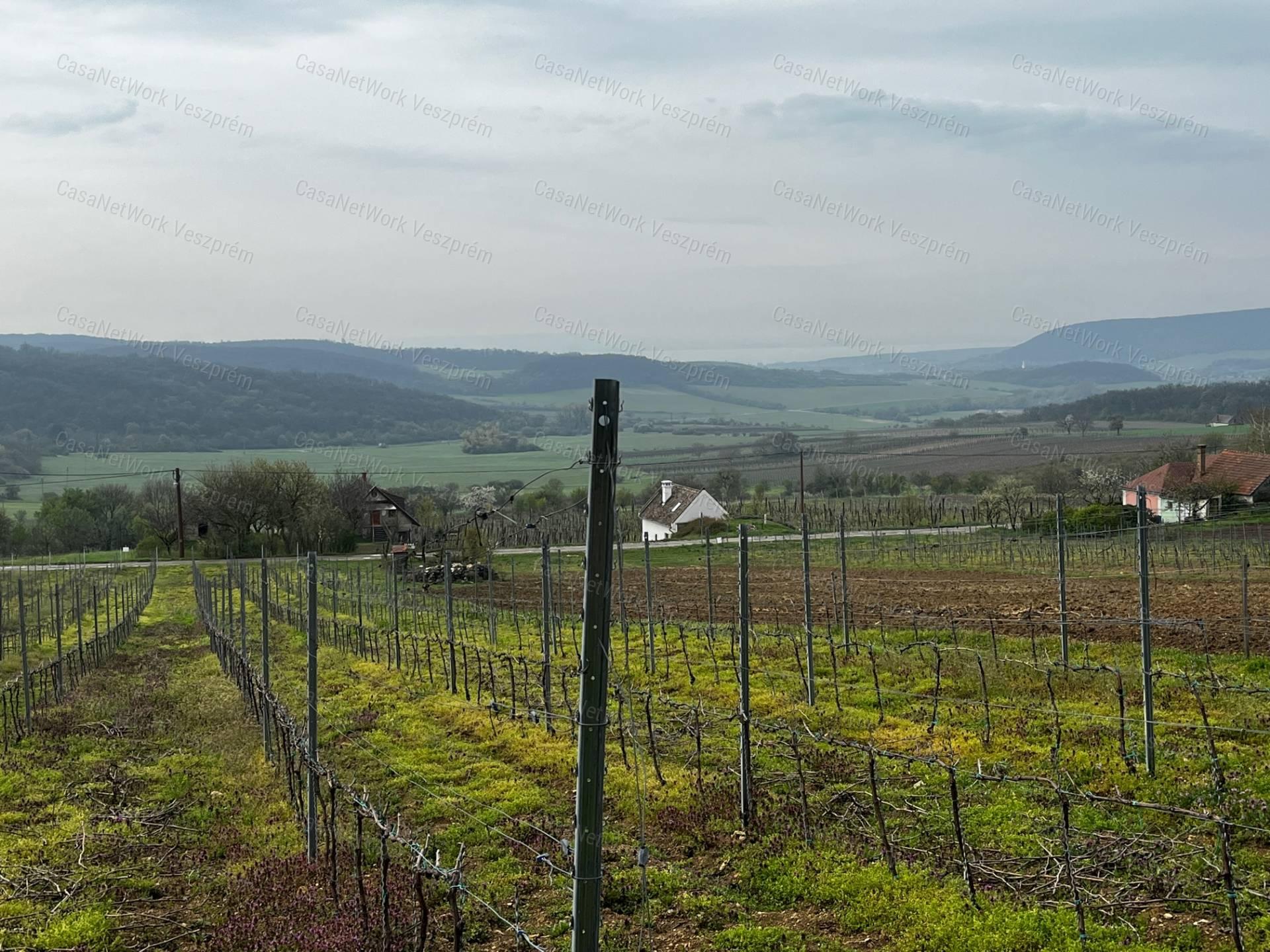 Óbudaváron ÖRÖK PANORÁMÁS zártkert eladó! 5107nm!