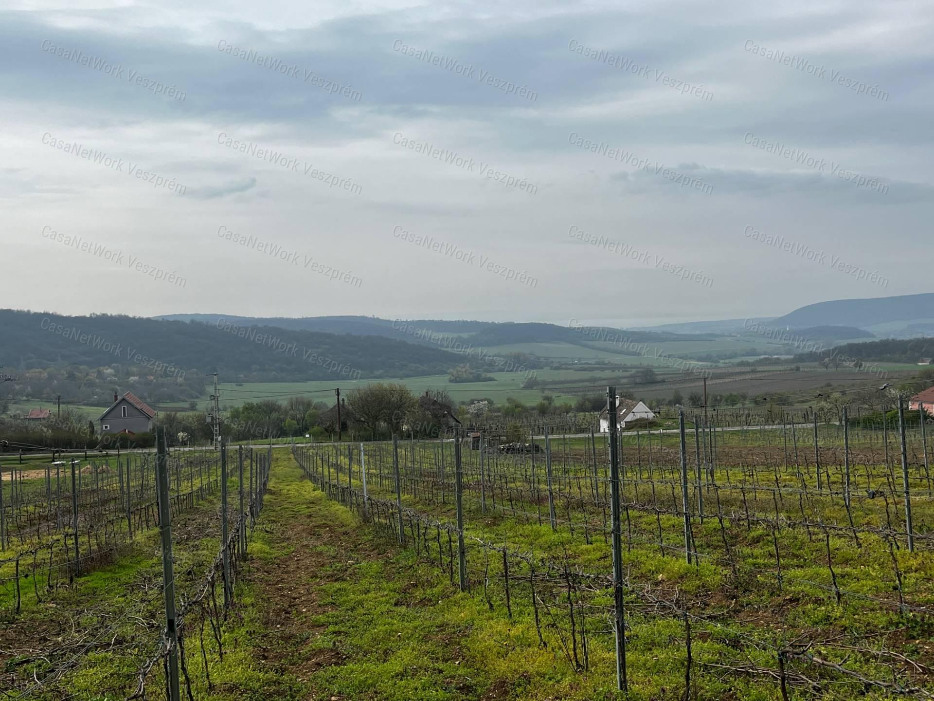 Óbudaváron ÖRÖK PANORÁMÁS zártkert eladó! 5107nm!