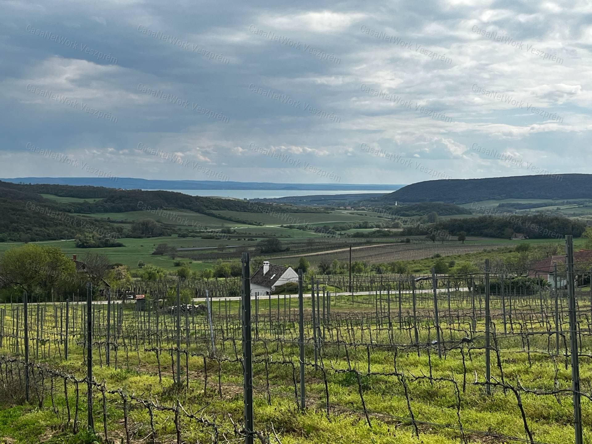 Óbudaváron ÖRÖK PANORÁMÁS zártkert eladó! 5107nm!