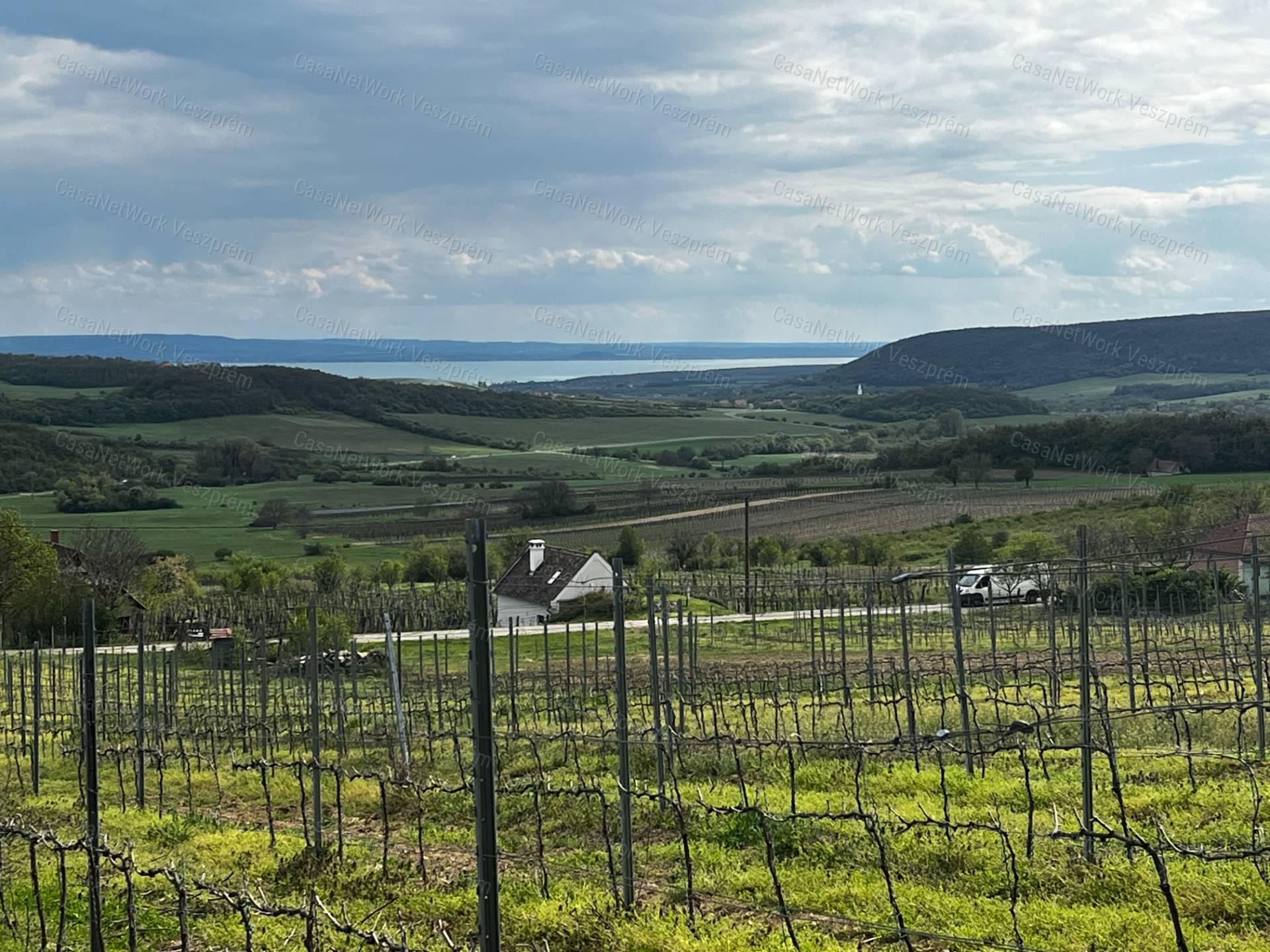 Óbudaváron ÖRÖK PANORÁMÁS zártkert eladó! 5107nm!