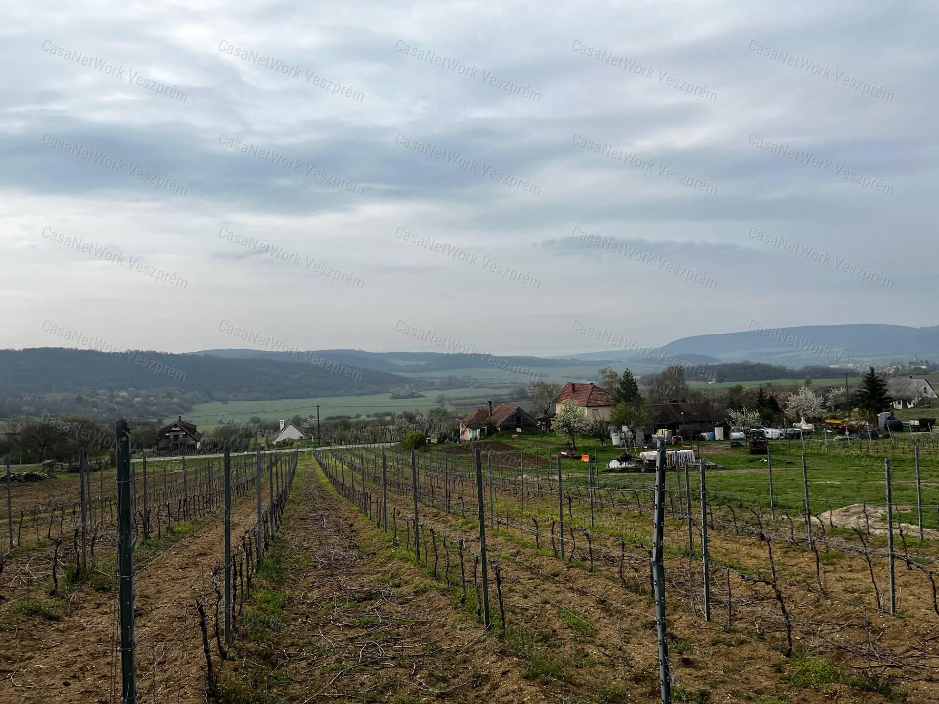 Eladó ÖRÖK PANORÁMÁS zártkert Óbudaváron! 3989nm!