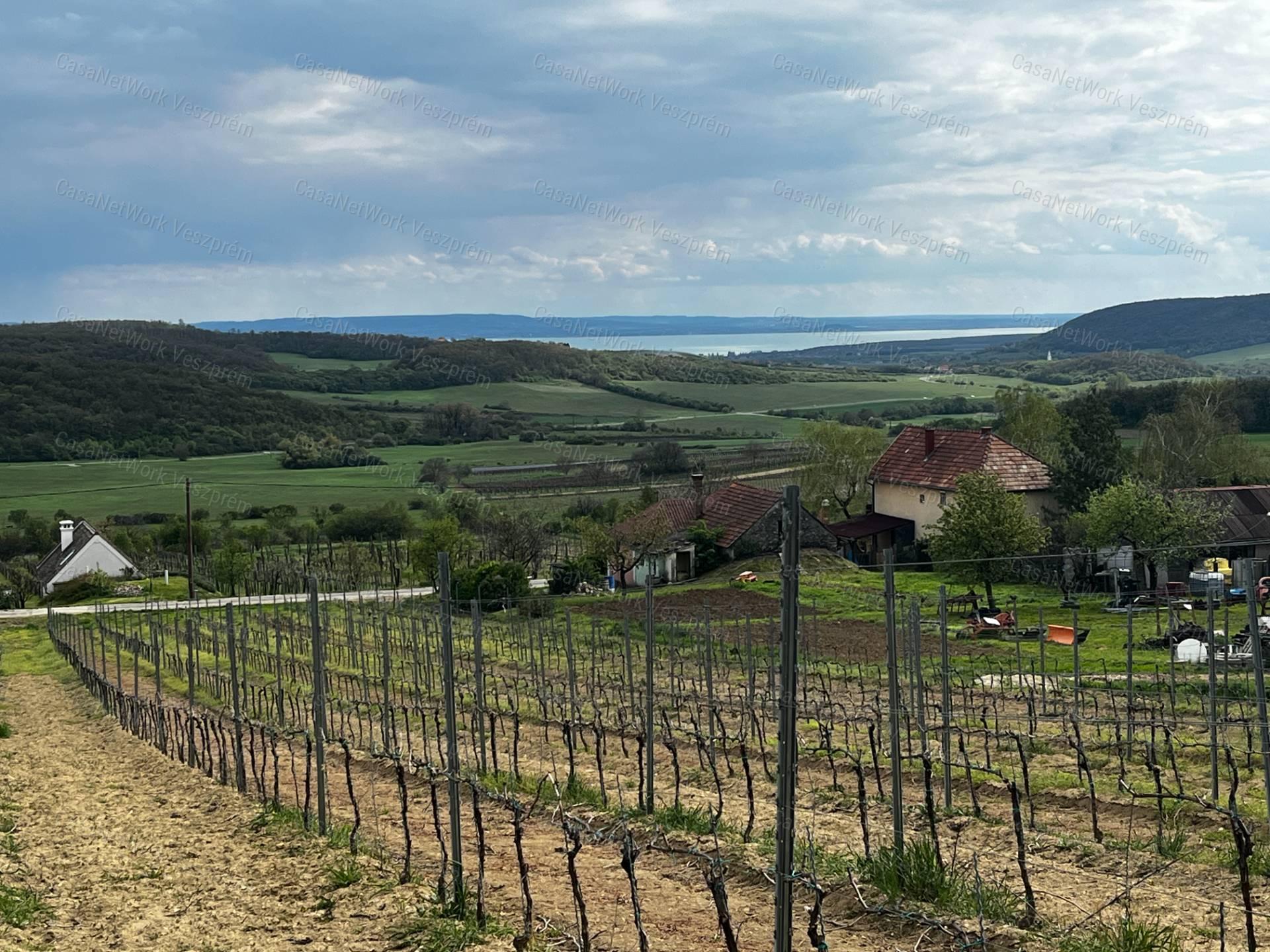 Eladó ÖRÖK PANORÁMÁS zártkert Óbudaváron! 3989nm!