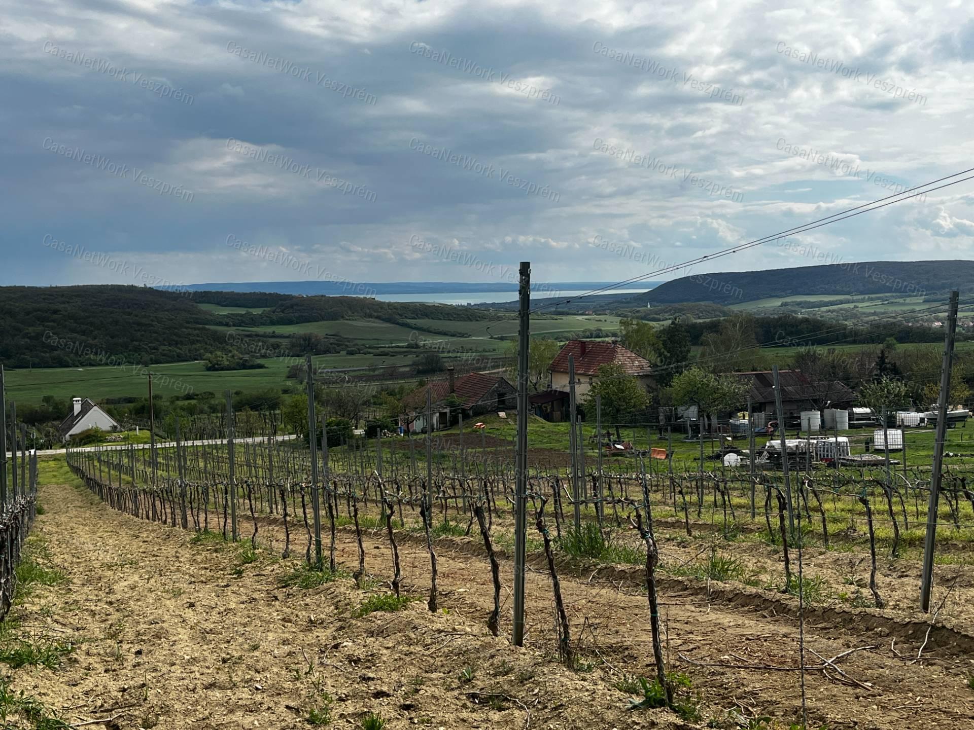 Eladó ÖRÖK PANORÁMÁS zártkert Óbudaváron! 3989nm!