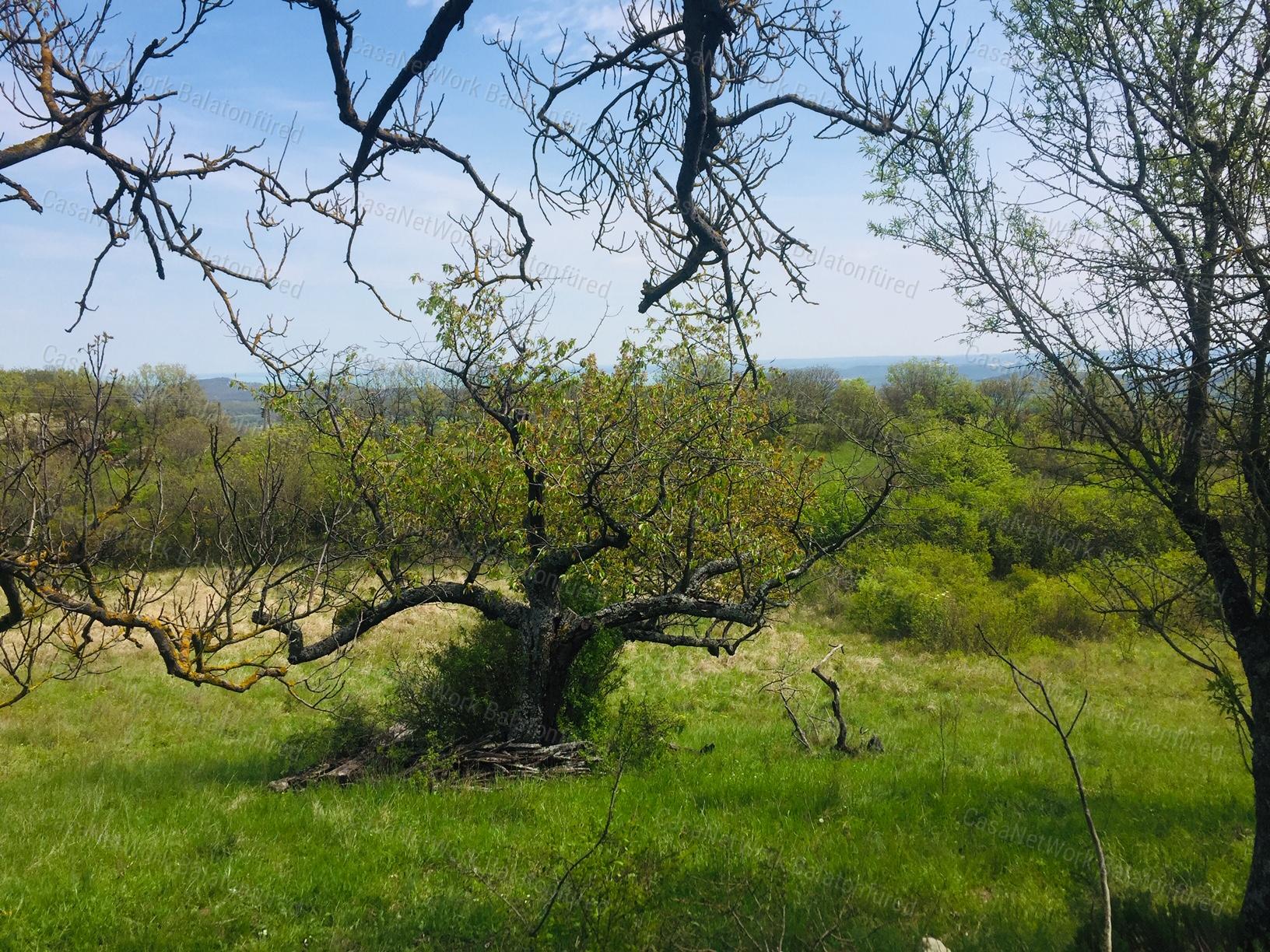 Elvehetetlen Meseszép panoráma