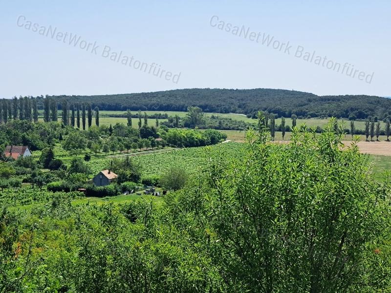 Örök tájpanorámás - eladó MEZŐGAZDASÁGI TERÜLET PÉCSELYEN