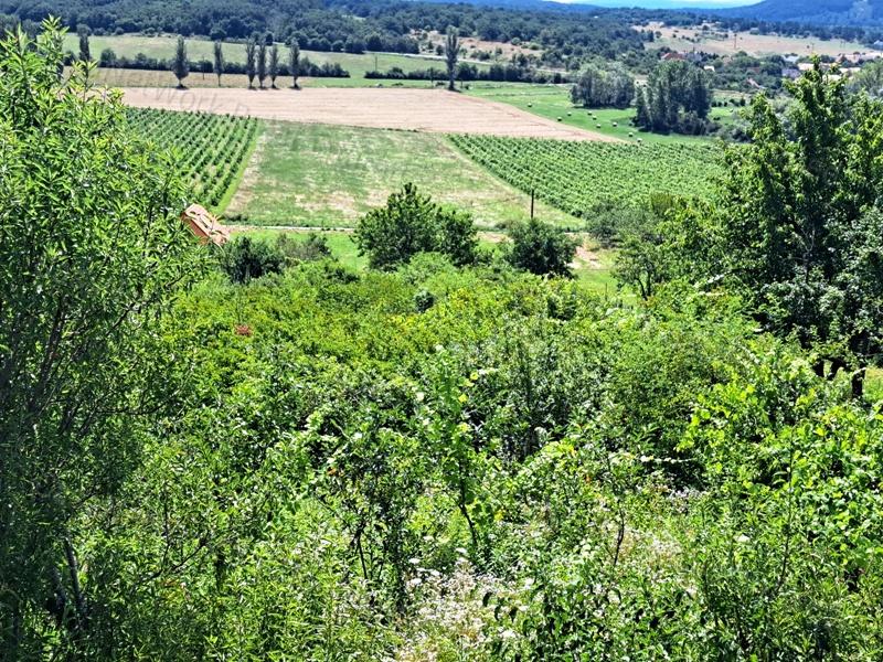 Örök tájpanorámás - eladó MEZŐGAZDASÁGI TERÜLET PÉCSELYEN