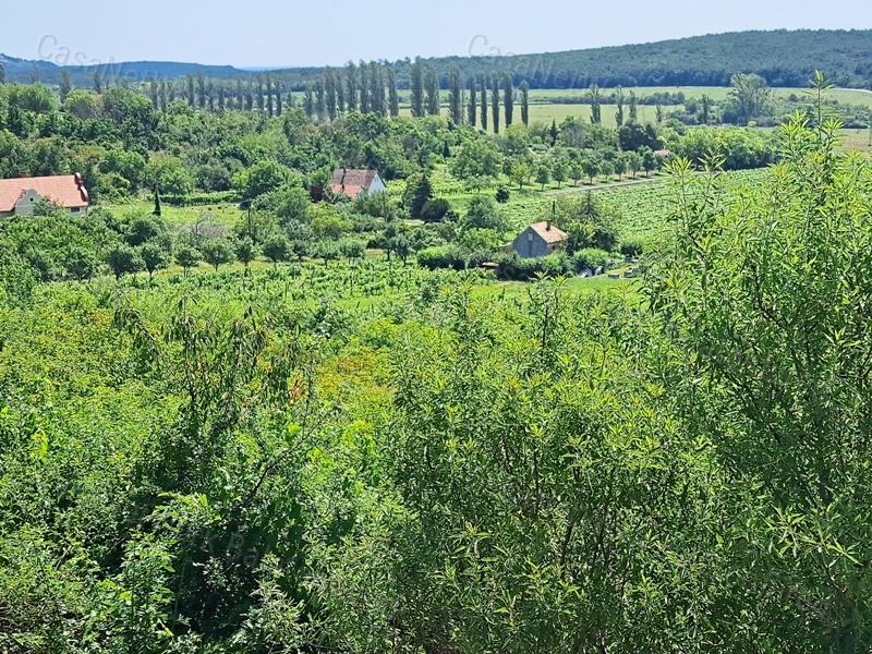 Örök tájpanorámás - eladó MEZŐGAZDASÁGI TERÜLET PÉCSELYEN