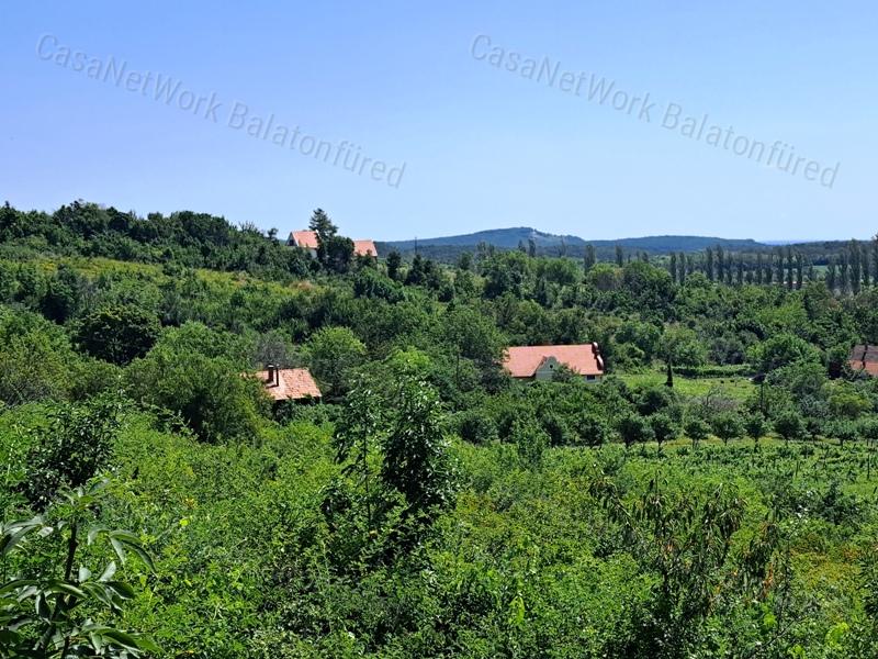 Örök tájpanorámás - eladó MEZŐGAZDASÁGI TERÜLET PÉCSELYEN