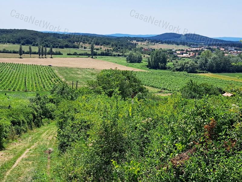 Örök tájpanorámás - eladó MEZŐGAZDASÁGI TERÜLET PÉCSELYEN