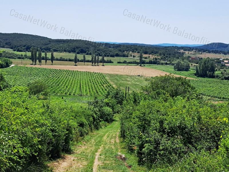 Örök tájpanorámás - eladó MEZŐGAZDASÁGI TERÜLET PÉCSELYEN
