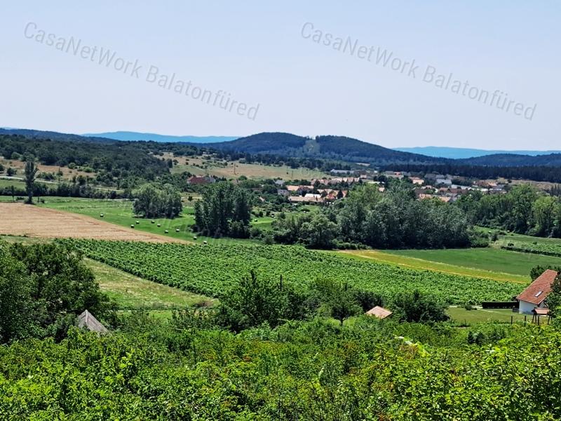 Örök tájpanorámás - eladó MEZŐGAZDASÁGI TERÜLET PÉCSELYEN
