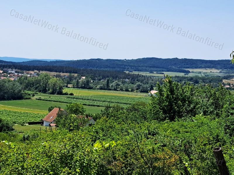 Örök tájpanorámás - eladó MEZŐGAZDASÁGI TERÜLET PÉCSELYEN