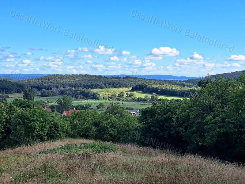 Vállalkozók ,Befektetők - eladó BELTERÜLETI TELEK BALATONSZŐLŐSÖN
