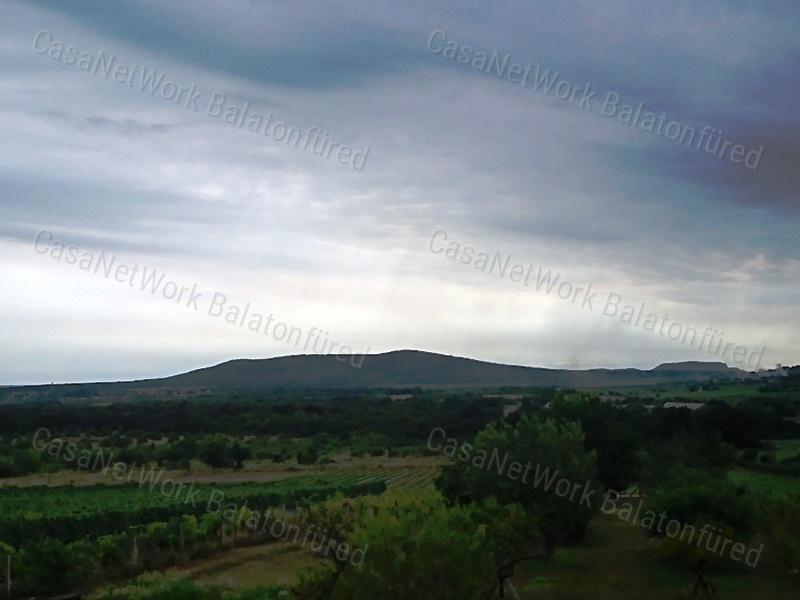 PANORÁMÁS  szőlő-ELADÓ  Szentantalfán