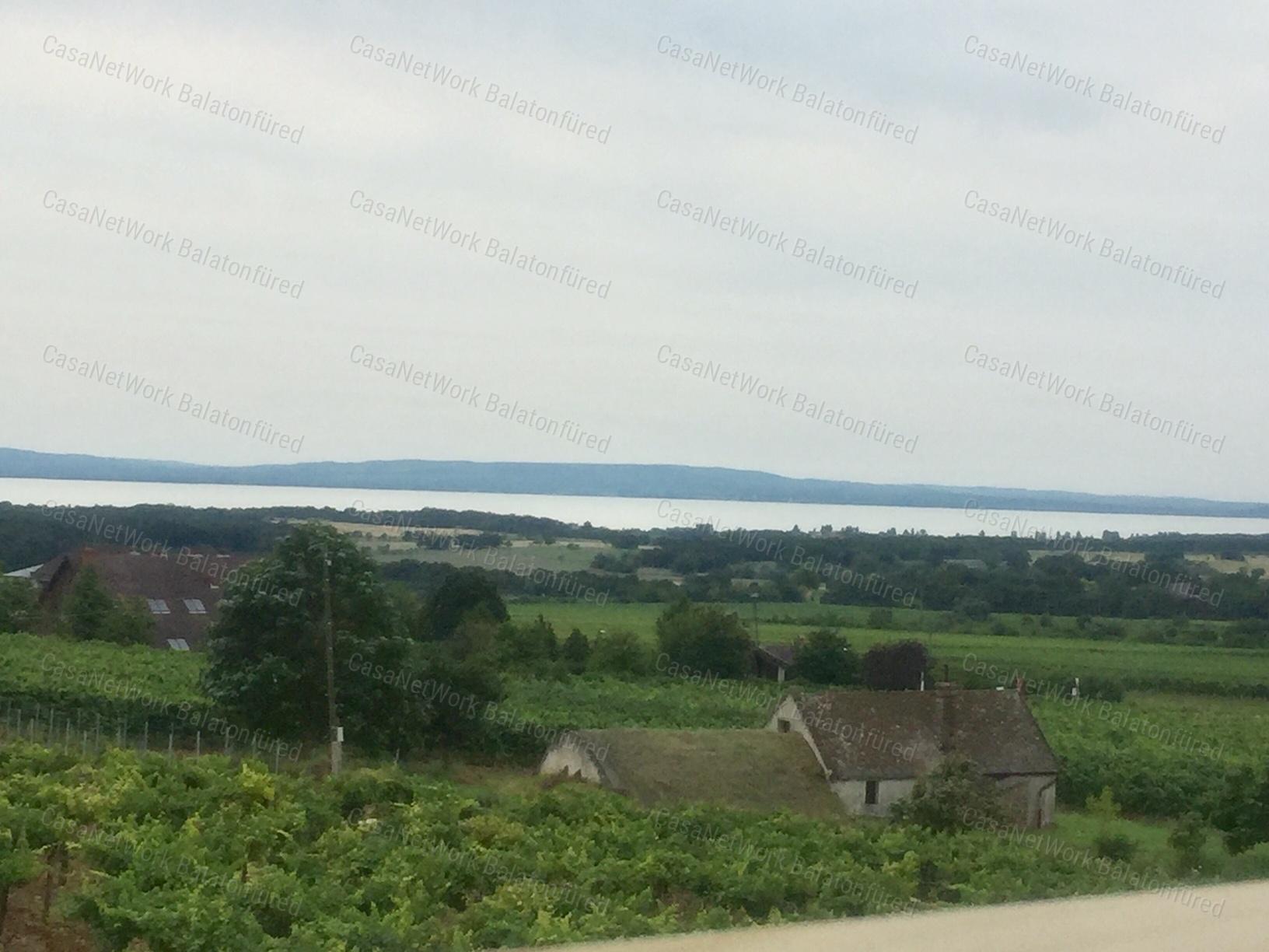 PANORÁMÁS  szőlő-ELADÓ  Szentantalfán