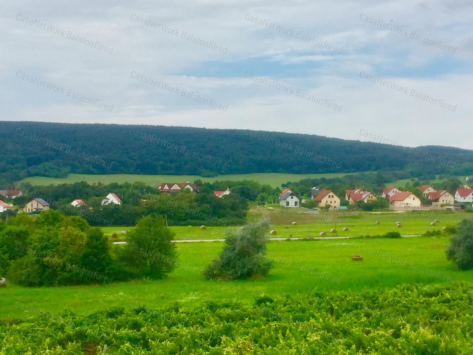 PANORÁMÁS  szőlő-ELADÓ  Szentantalfán