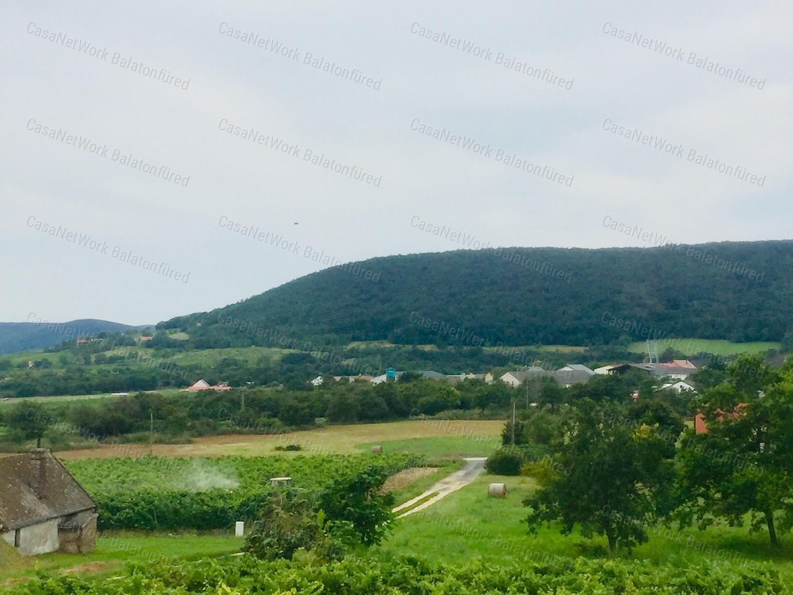 PANORÁMÁS  szőlő-ELADÓ  Szentantalfán