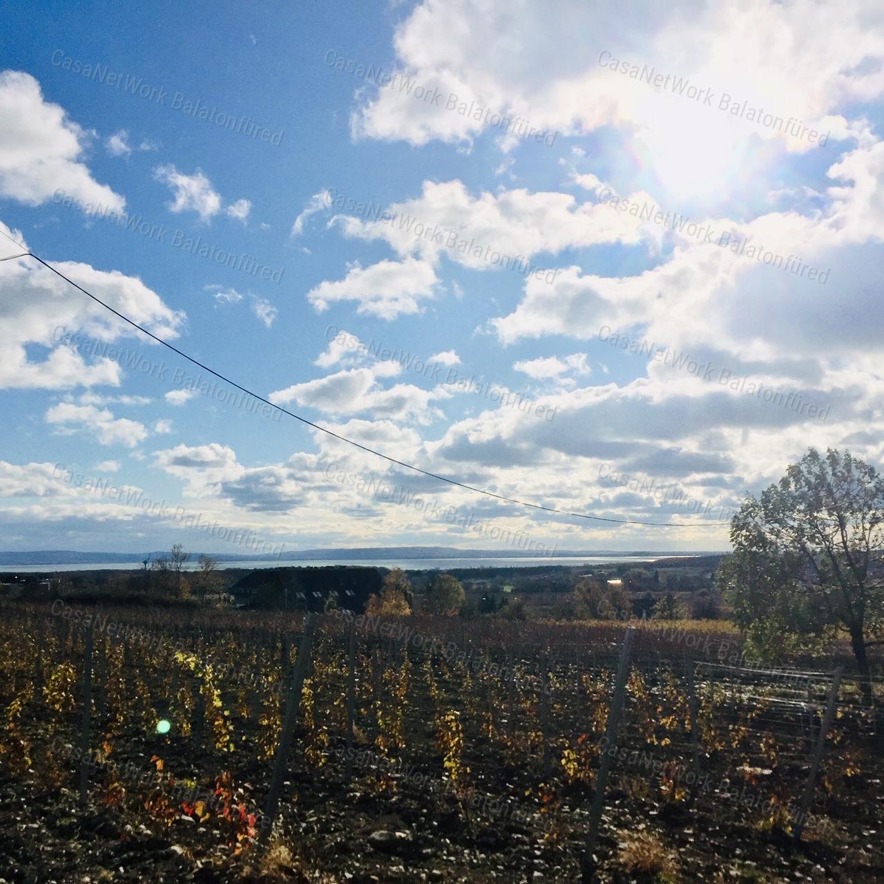 PANORÁMÁS  szőlő-ELADÓ  Szentantalfán