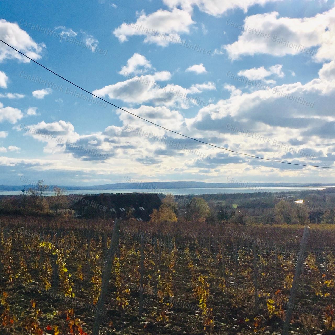 PANORÁMÁS  szőlő-ELADÓ  Szentantalfán