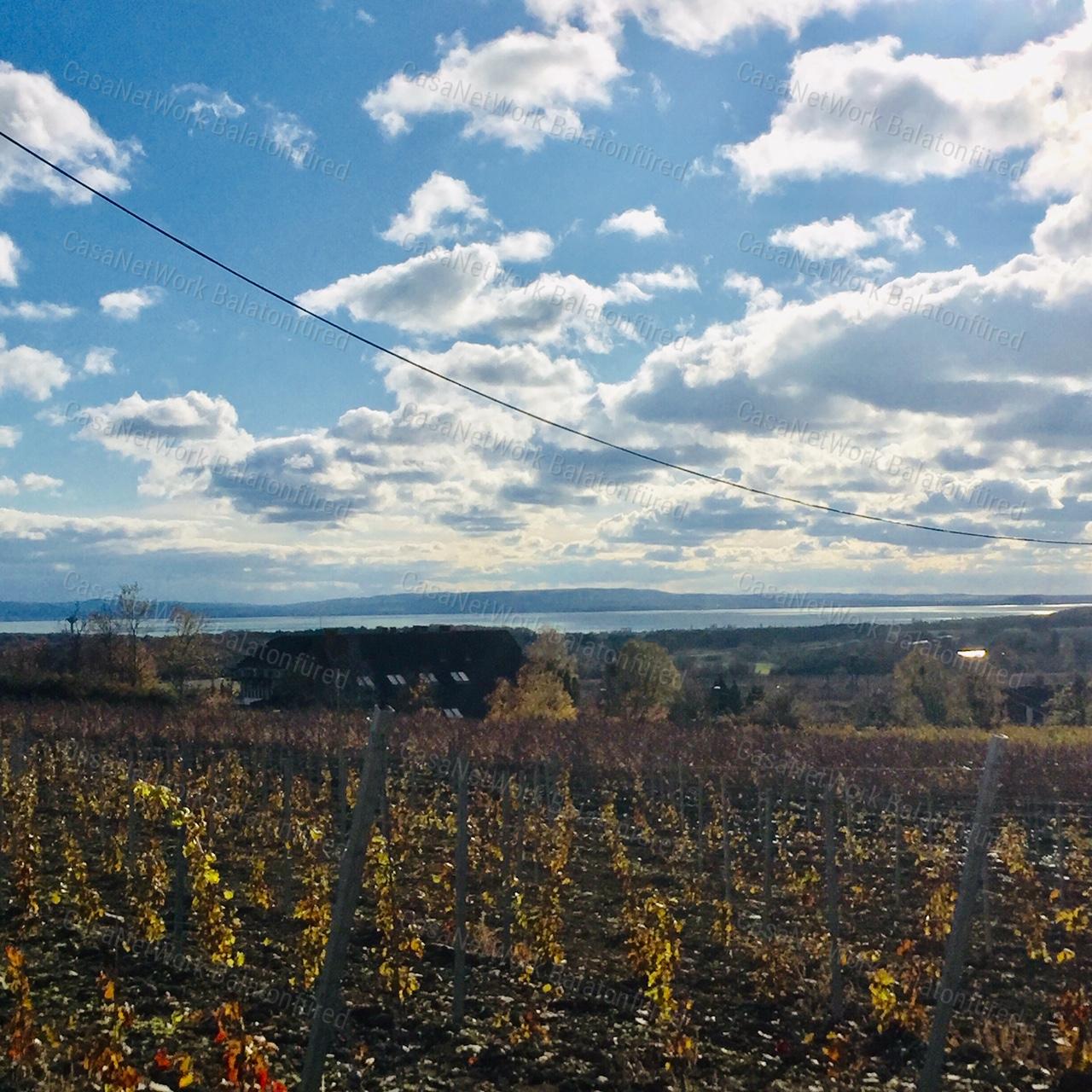 PANORÁMÁS  szőlő-ELADÓ  Szentantalfán