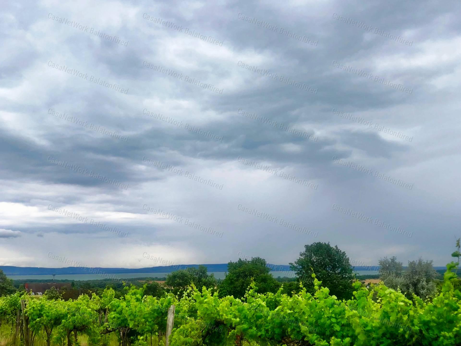 PANORÁMÁS  szőlő-ELADÓ  Szentantalfán