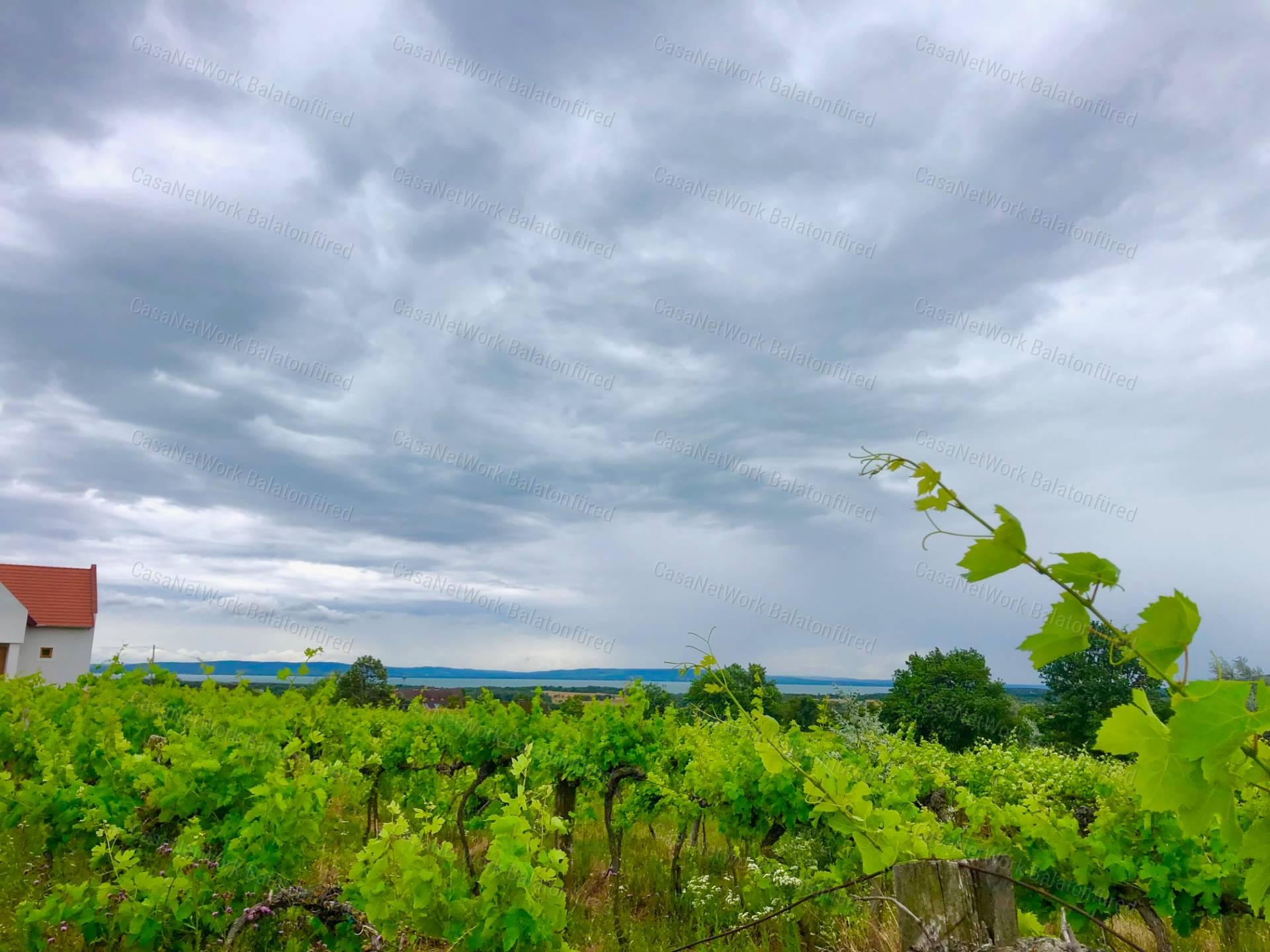 PANORÁMÁS  szőlő-ELADÓ  Szentantalfán