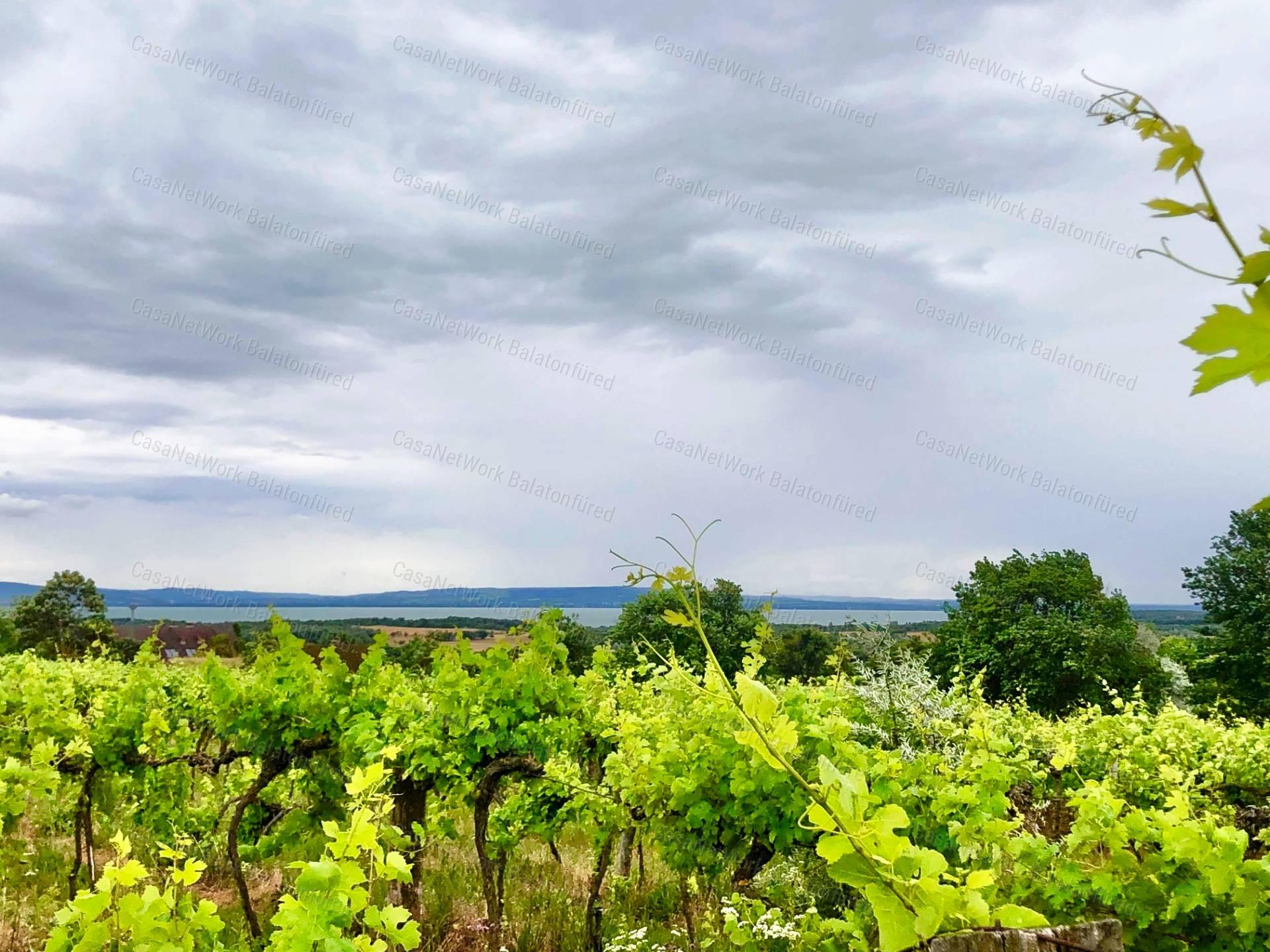 PANORÁMÁS  szőlő-ELADÓ  Szentantalfán