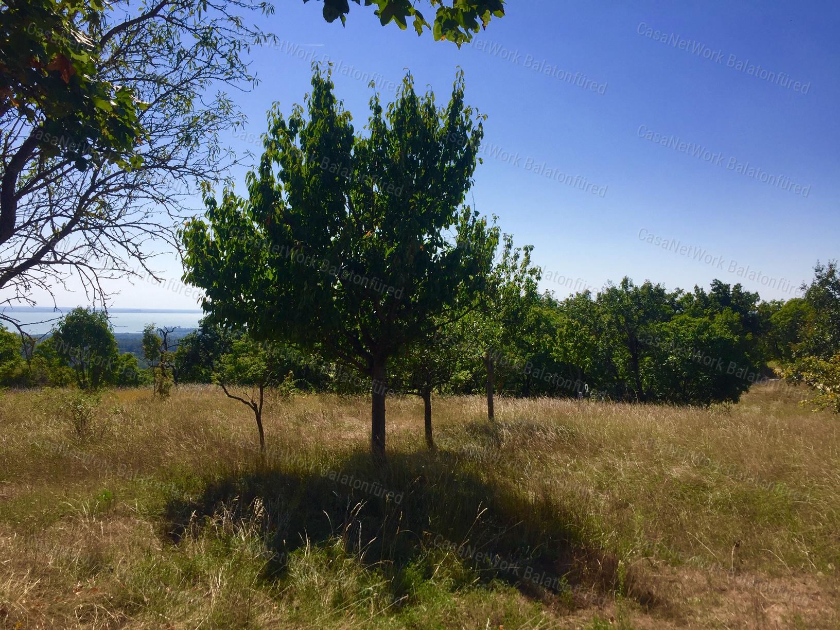 Lélegzet elállítóan szép panoráma