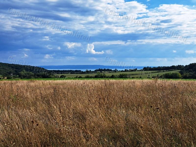 Tájpanorámás terület - eladó MEZŐGAZDASÁGI TERÜLET DÖRGICSÉN