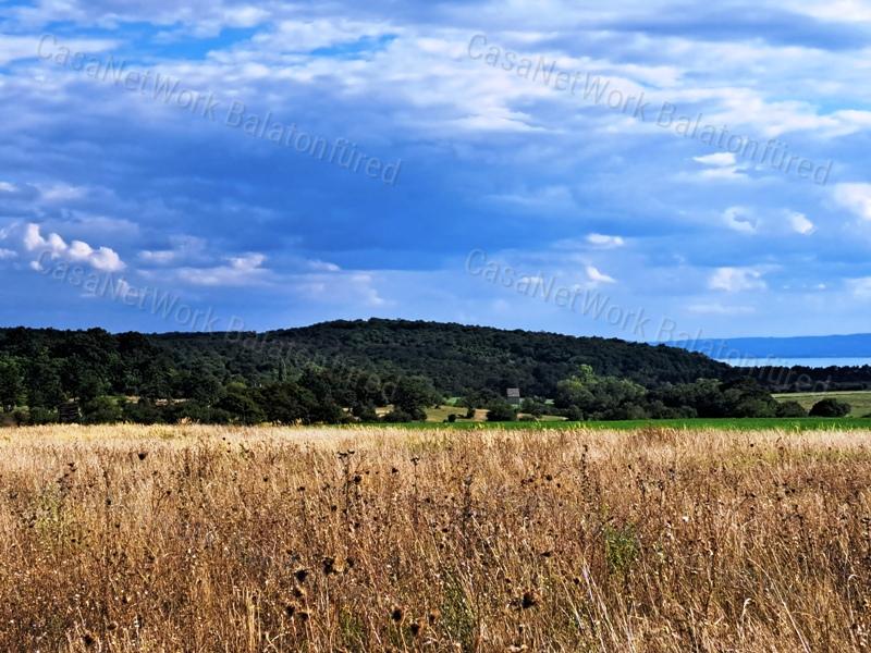 Tájpanorámás terület - eladó MEZŐGAZDASÁGI TERÜLET DÖRGICSÉN